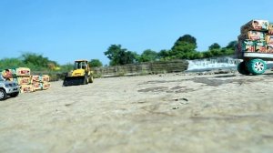 Грузовички кормят собачку печеньем