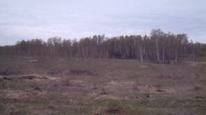 Родовое поместье  Даарислава возле Анишино Тульская обл. Ранняя весна, прохладно, сильный ветер.