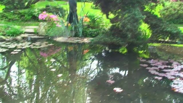 Pick five for Piccolo flute & Piano by H. A. Stamm смотреть онлайн