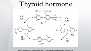 Thyroid hormone