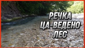 РЕЧКА ЦА-ВЕДЕНО ЛЕС