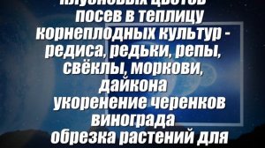 Лунный посевной календарь садовода и огородника на январь 2022 года