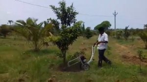 Neptune Brush Cutter
