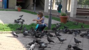 Девочка кормит голубей.