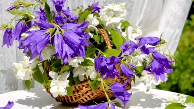 Полевые цветы Поль- де- Сенневиль mp4 смотреть онлайн