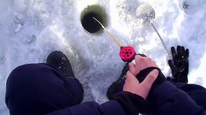 Зимняя Рыбалка в ГлухоЗимье 2021