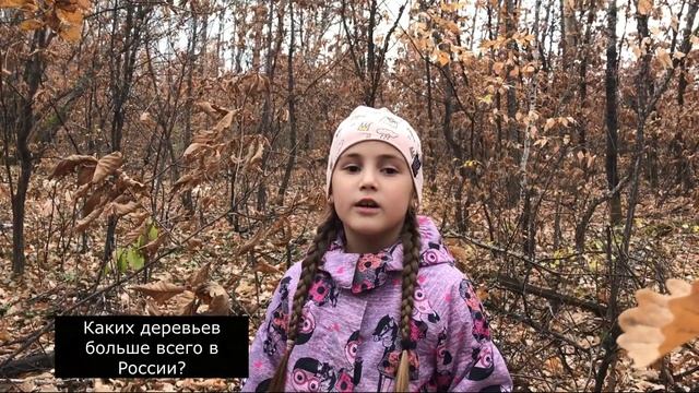 Почему листья желтеют и опадают? | ЛЕСНЫЕ ФЕИ смотреть онлайн