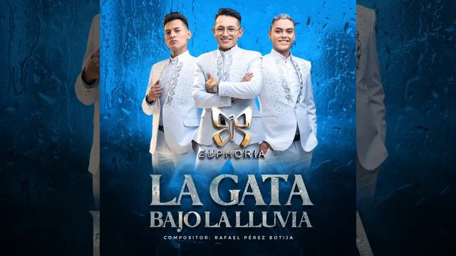 La Gata Bajo la Lluvia смотреть онлайн