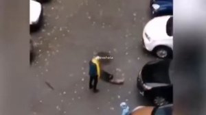 Бойцовская собака загрызла маленькую собачку на глазах у ребенка