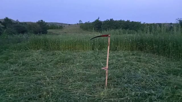 ПОКОС ТРАВЫ КОСОЙ В ДЕРЕВНЕ #покос #коса #трава #вечер смотреть онлайн