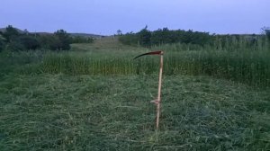 ПОКОС ТРАВЫ КОСОЙ В ДЕРЕВНЕ #покос #коса #трава #вечер