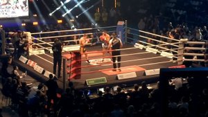 Джорджио Петросян vs Артем Пашпорин W5 (2017) [Целый Бой]