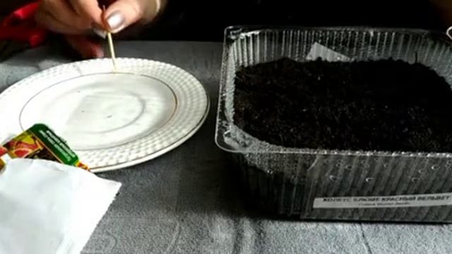 Петуния смотреть онлайн