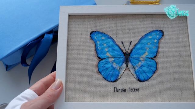 Бабочка Морфо от Рукодельных забав. Готовая и оформленная работа. смотреть онлайн