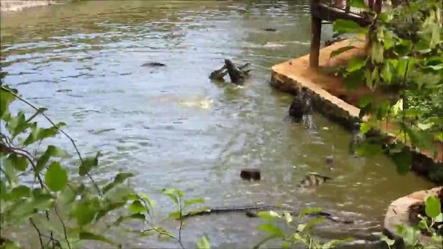 Вьетнам. Экскурсия из Муйне. смотреть онлайн