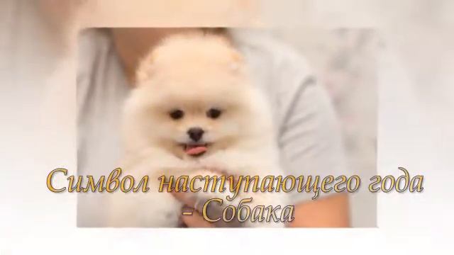 С Новым Годом смотреть онлайн