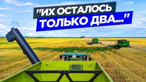 Уборка сорной пшеницы. Поломка одного John Deere S660. Работа с перегрузчиком зерна.