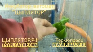 Чашечные поилки для кур. Дефекты конструкции.