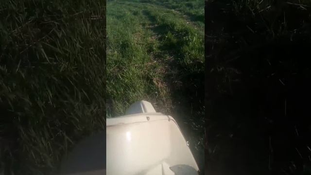 миниматоролер стриж смотреть онлайн