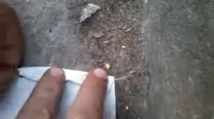 Как разжечь костер быстро и дешево