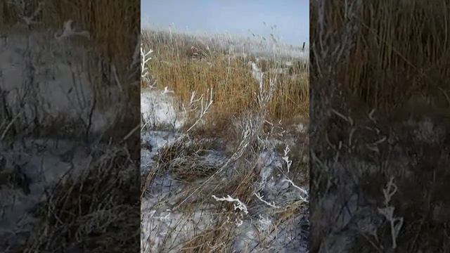 Где сидит фазан смотреть онлайн