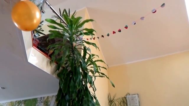 ?УБОРКА НА КУХНЕ! ?МОИ ЦВЕТЫ! #zhukovavlogs смотреть онлайн