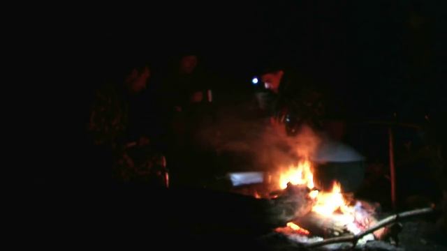 Песни у костра|Матвеевский лес | Soulful gatherings in nature|Songs by the campfire|Nikolaev