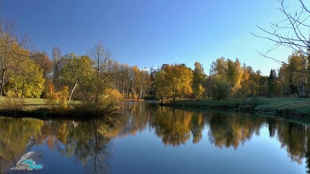 Осенний лист