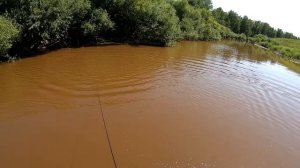 Рыбалка КАСТИНГОВОЙ сетью с лодки...По закоряженным местам в поисках трофея...