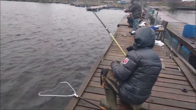 Клевое Место д. Савельево.Поимки 2 сектор! смотреть онлайн