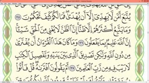 Шейх Айман Сувейд сура Юнус стр 213