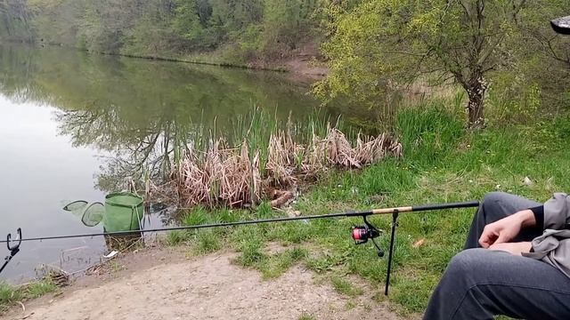 Городское озеро в Георгиевске смотреть онлайн