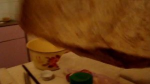 Охотничья кухня.