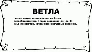 ВЕТЛА - что это такое? значение и описание