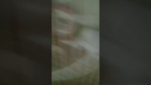 Хомяк смотреть онлайн