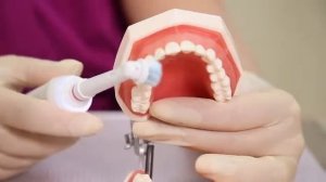 ТАРИNOVAclinic ?научит правильно чистить зубы электрической щёткой ???