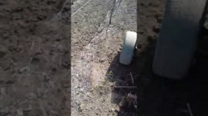 Плоскорез для мотоблока ,его работа .