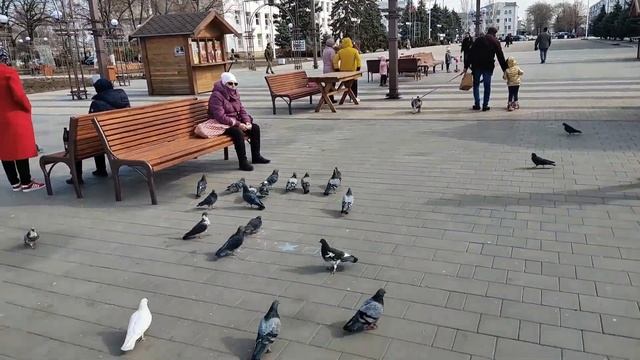Бендеры Преображенский Сквер  Центр г.Бендеры Зонтики в Бендерах  Приднестровье