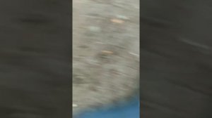 Дороги с.Керчомья