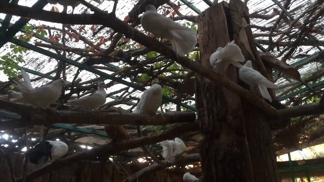 Интересные Места [Сезон 3] #01 - Город-Курорт Геленджик смотреть онлайн