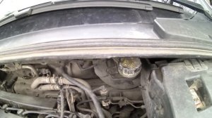 Что под капотом Форд фокус 3 для новичков