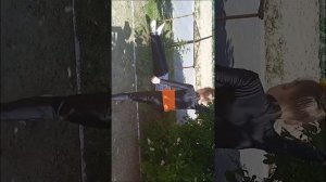 новая серия леди баг и супер кота Шанхае