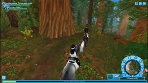 ОТКРЫВАЕМ ДИКОЛЕСЬЕ! STAR STABLE! ✨?