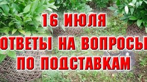16 июля. Ответы на вопросы по плетению подставок