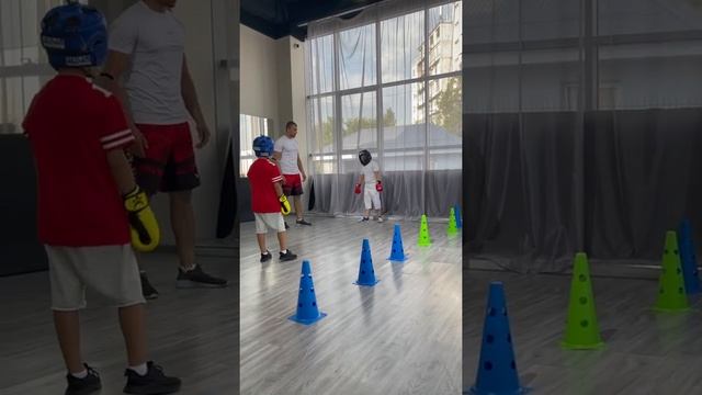 Соревнования по боксу для детей смотреть онлайн