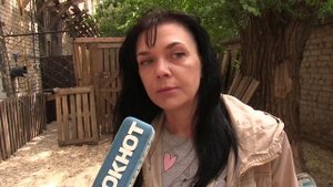 Приют для собак "Любимки" в Волжском остался без крыши над головой