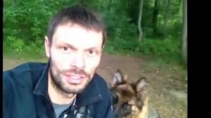 Немецкая овчарка.Велосипед и собаки.Как выгуливать собаку на велосипеде.