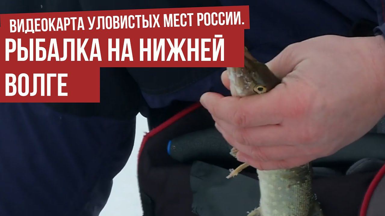 Рыбалка на Нижней Волге \ Видеокарта уловистых мест России.