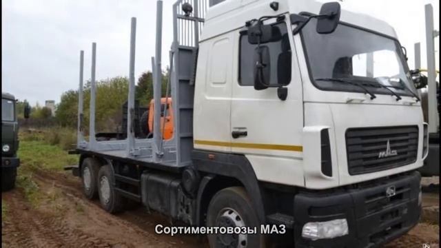 #491. Сортиментовозы МАЗ [Авто подборка]