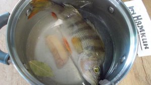 Простая уха из окуня в домашних условиях